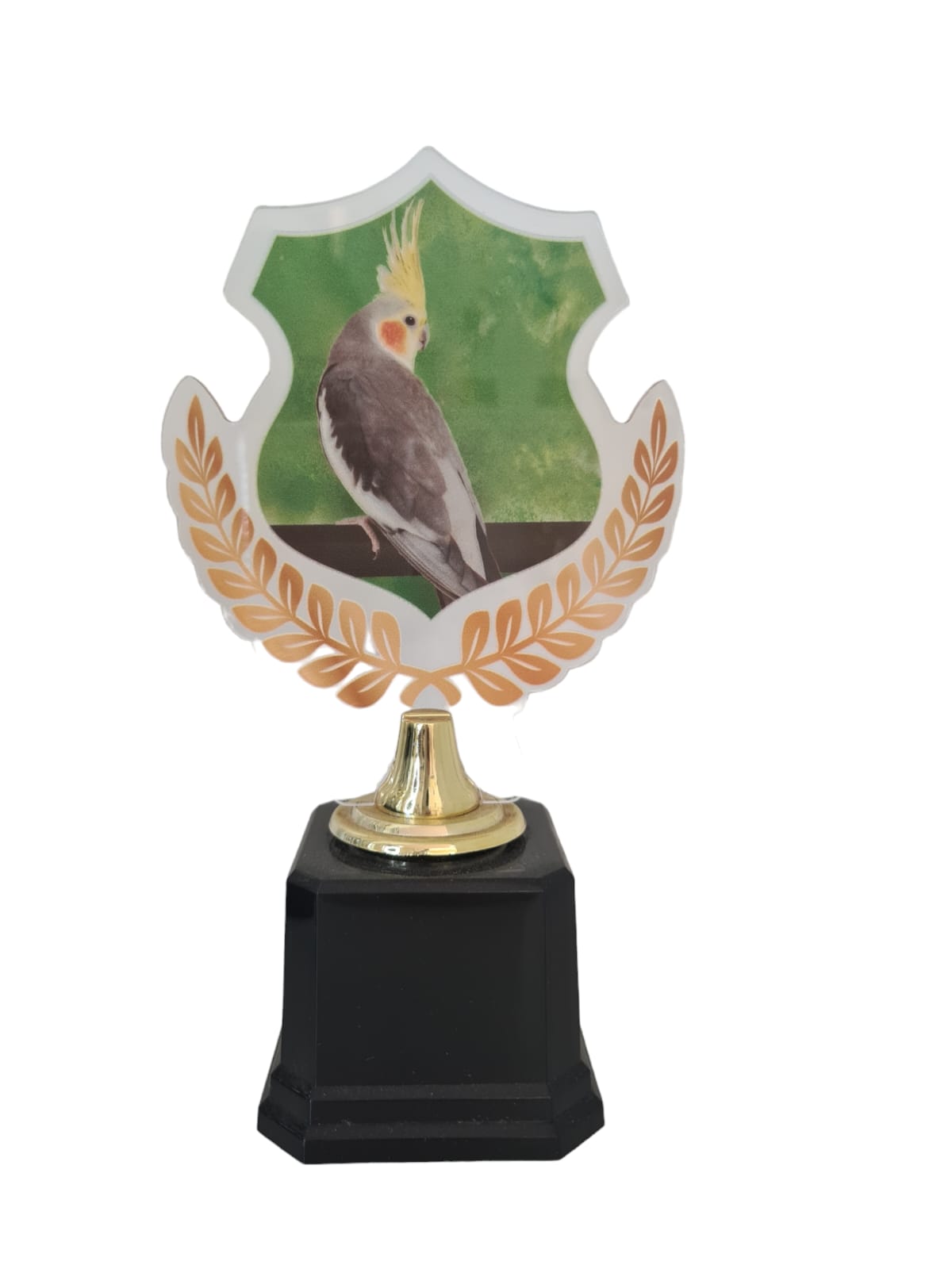 Troféu acrilico calopsita 501770