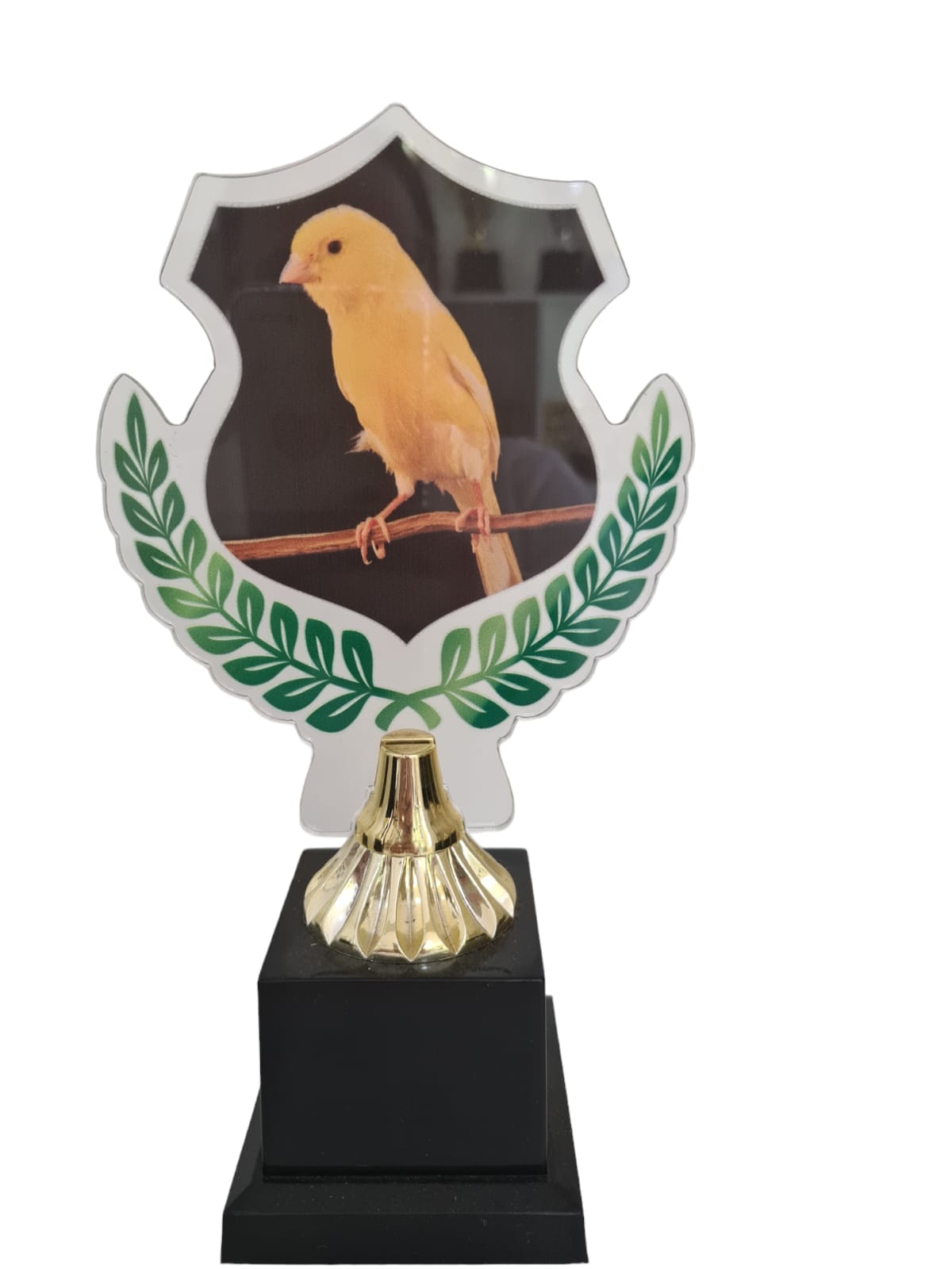 Troféu acrilico canario 501770