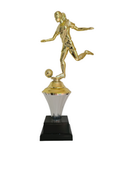 Troféu futebol feminino artilheira 501363 - TROFEUS GUARANI IMP COM. LTDA ME